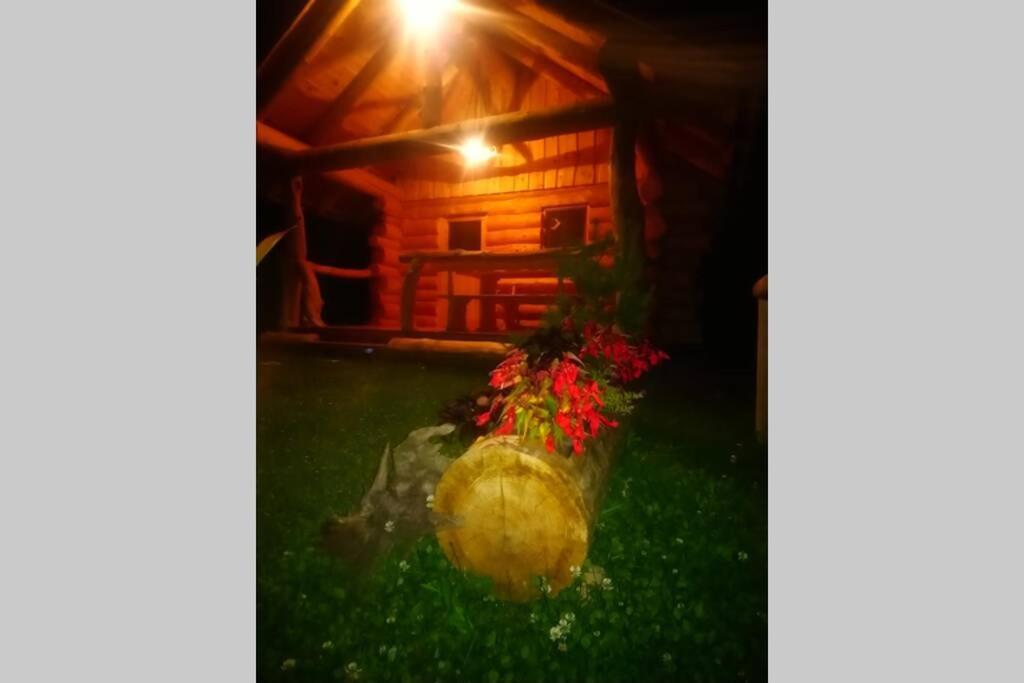 Hut At The Forest Male Brusnice Exteriör bild